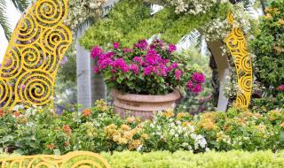 厦门园博苑攻略